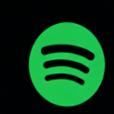 Подписчики Стандарт Spotify