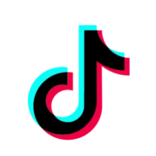 Лайки VIP TikTok с гарантией 3 месяца
